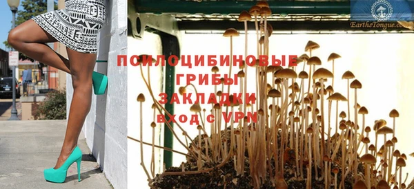 ГАЛЛЮЦИНОГЕННЫЕ ГРИБЫ Рославль