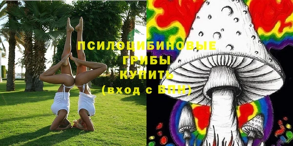 круглые Гвардейск
