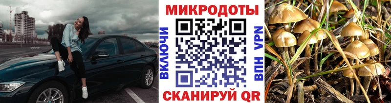 Псилоцибиновые грибы ЛСД купить наркотик Сергач